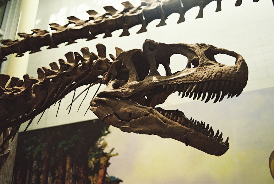 Scientists Unearth Massive New Dinosaur Species in Thailand