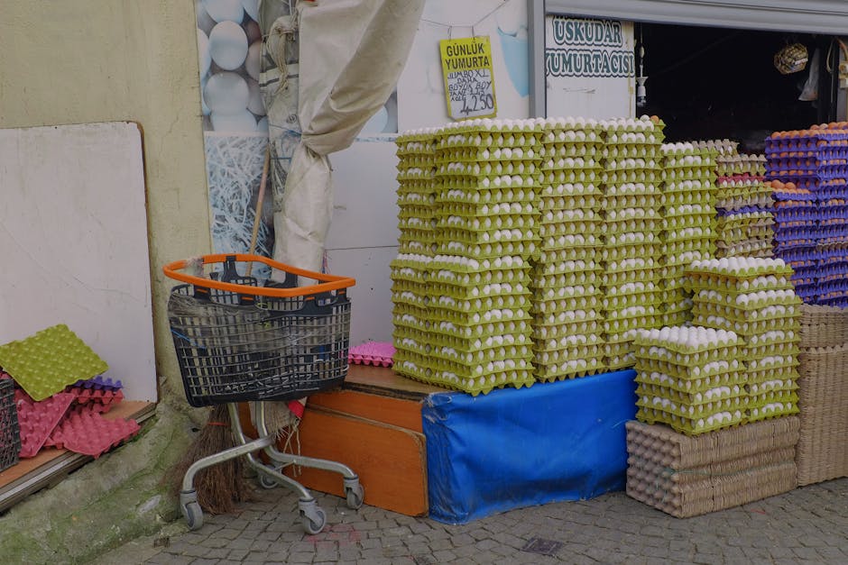 Six Eggs Cost Double What They Did Three Years Ago