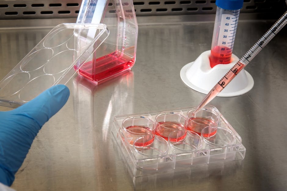 Stiffening Cancer Cells Improves CAR T-cell Success by 40%