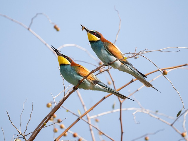 Surrey Council Buys 12 Acres to Save Riverside Habitat