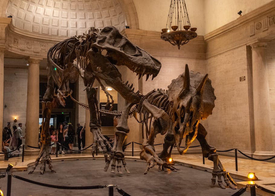 T. rex Arm Size Linked to Jaw Evolution, Study Reveals