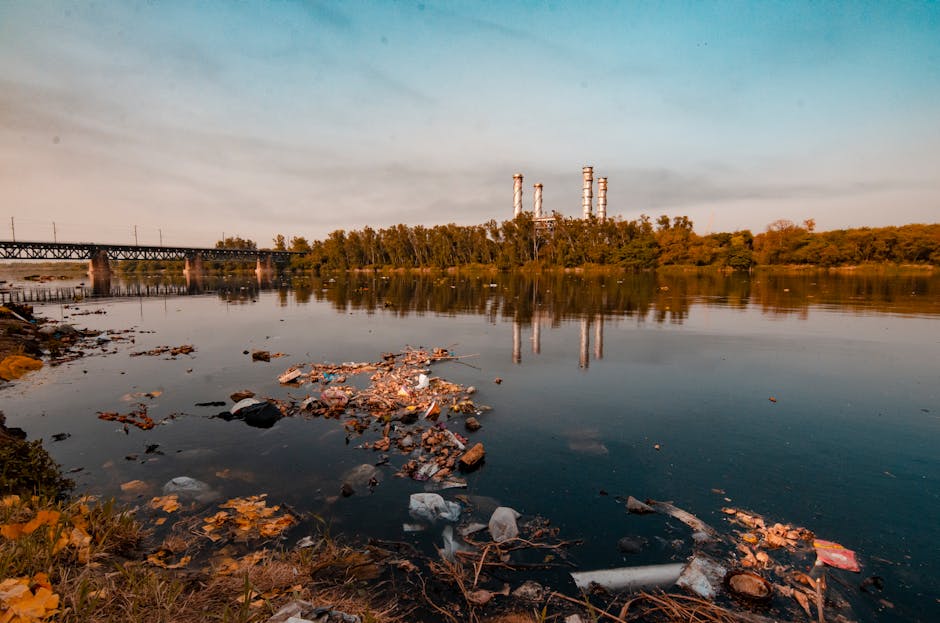 This Algae Removes 90% of Microplastics in Water