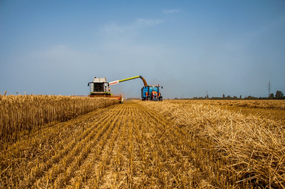 USDA Projects Smallest US Wheat Harvest Since 1972