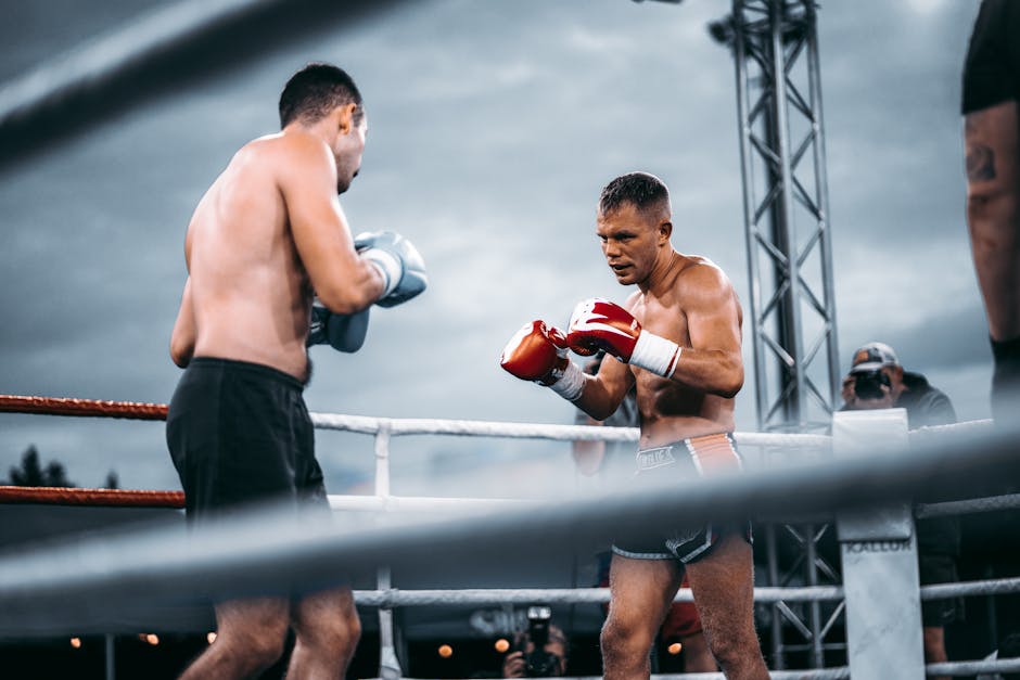 Usyk vs Verhoeven: What Happens If the Champion Falls?