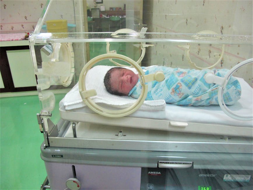 What Extremely Preterm Birth Reveals About Brain Development