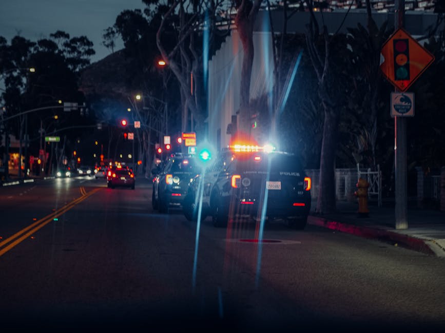 Why a Traffic Stop in Florida Went Viral