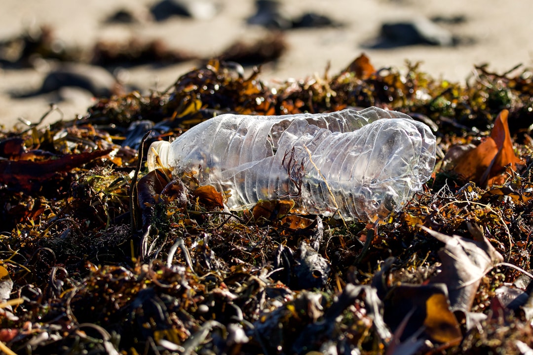 Why Beach Litter is a Growing Concern