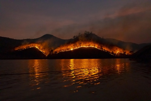Why California’s Santa Rosa Island Wildfire Matters