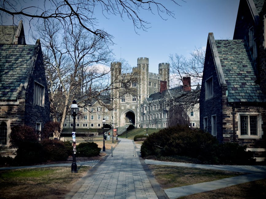 Why College Degrees Are No Longer Enough - VirentaNews