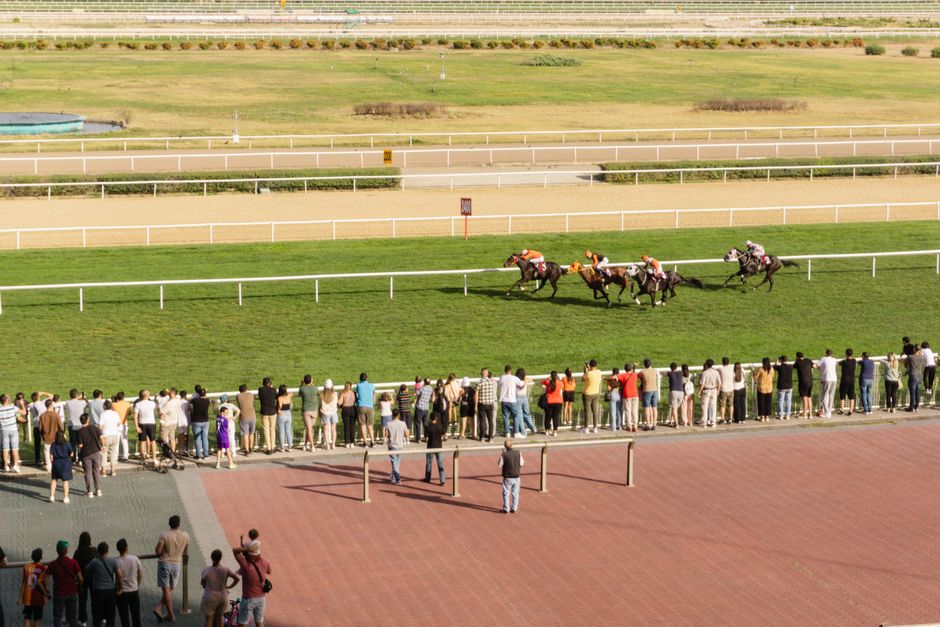 Why Constitution River Can Win French Derby