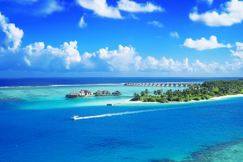 Why did four experienced divers vanish in Maldives?