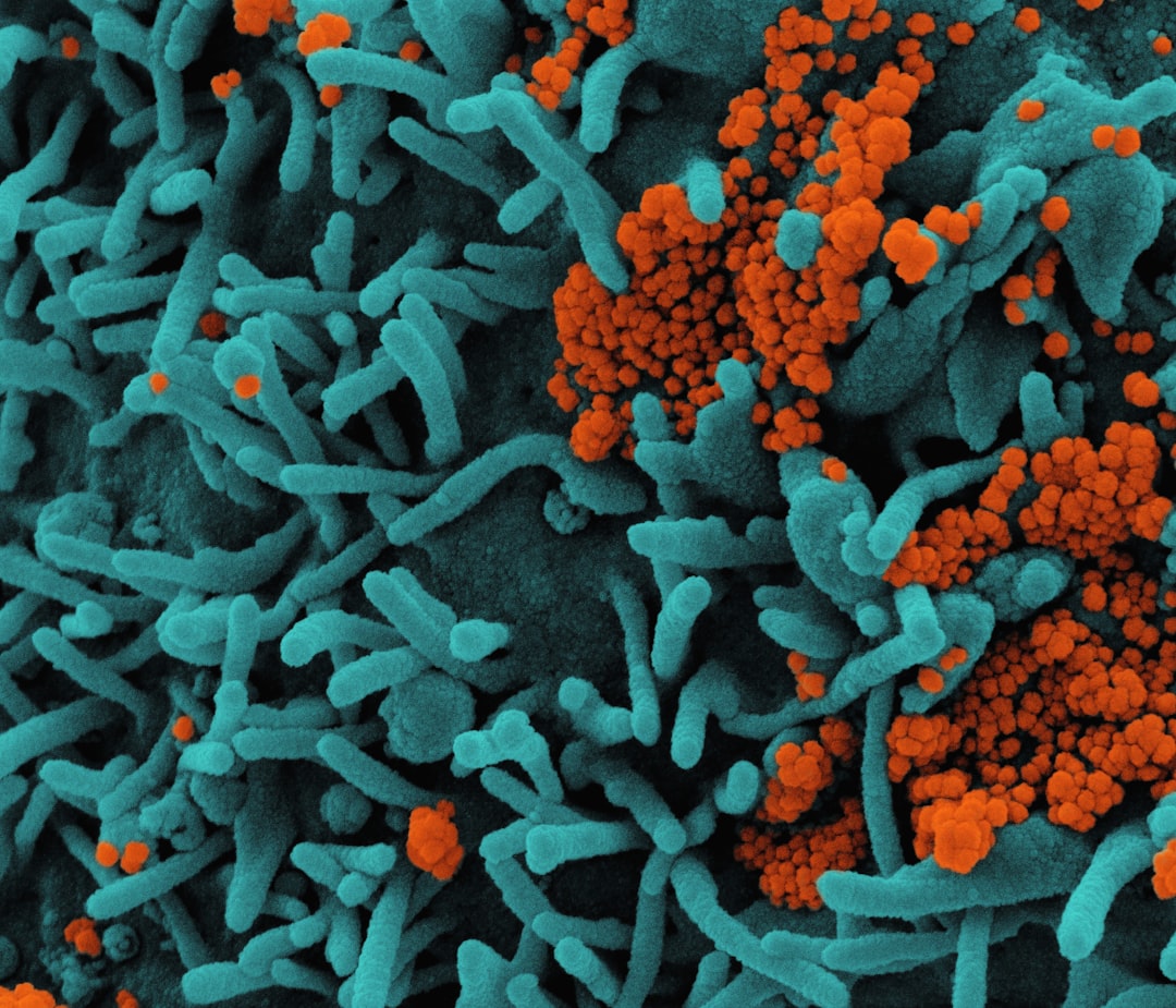 Why Do We Crave Protein: The Hidden Gut-Brain Connection