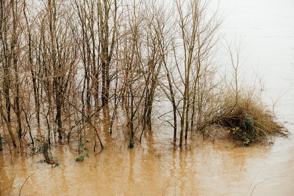 Why Euphrates River Burst: 8-12 Words