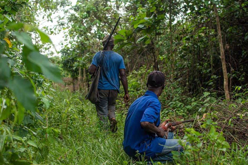 Why FARC Dissidents Abandoned Peace