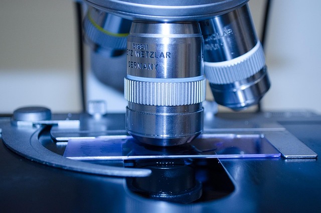 Why Glial Cells Matter for Human Health