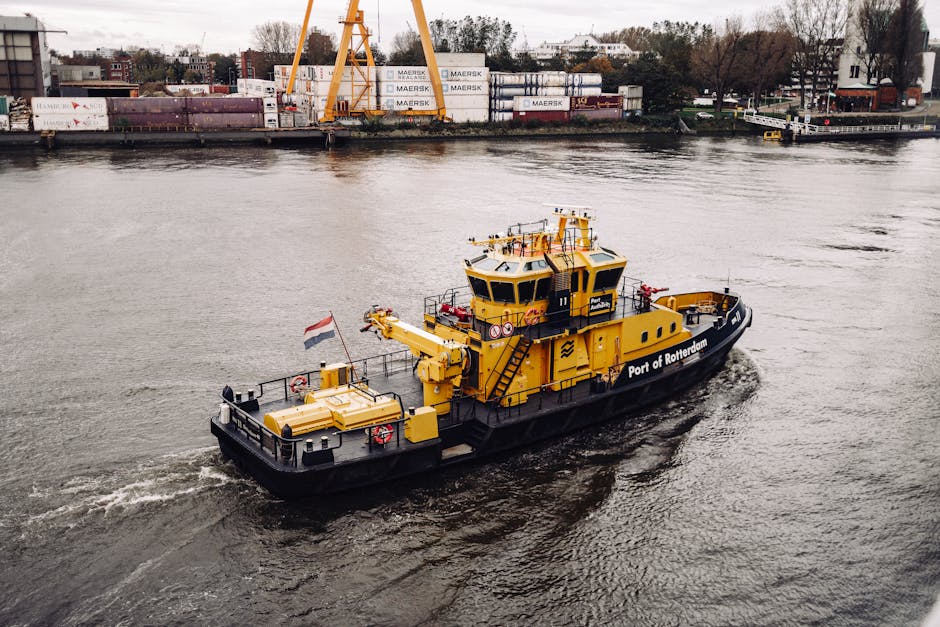 Why Is the Hantavirus-Infected Ship Being Cleaned in Rotterdam?