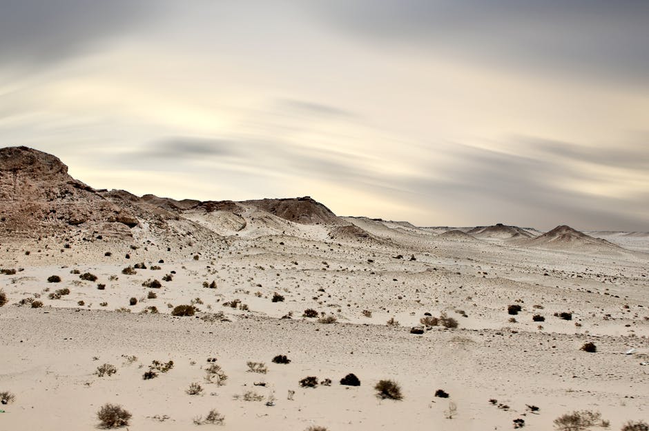 Why Morocco Wants Tourists in Western Sahara - VirentaNews