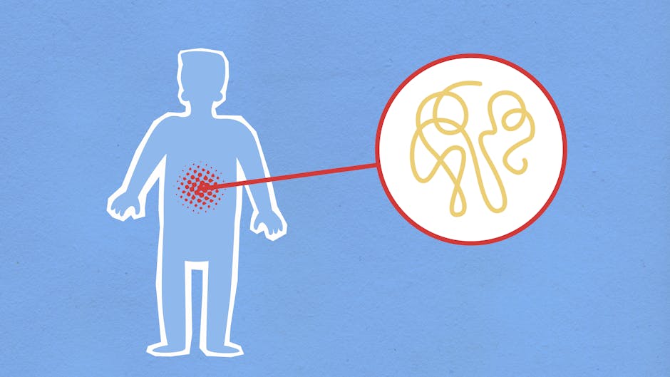 Why Poop Transit Time Matters for Health