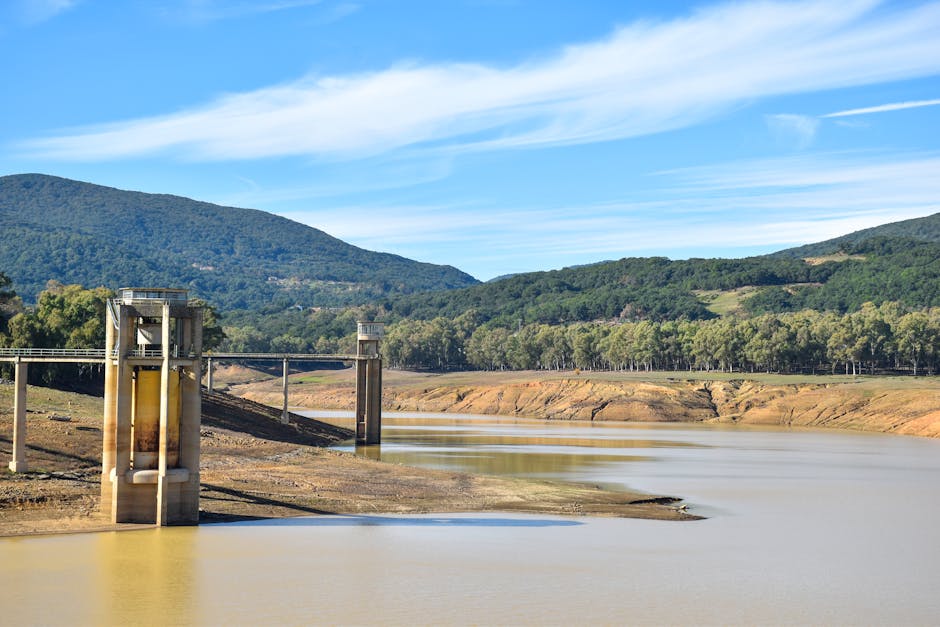 Why Rivers Are Running Out of Oxygen