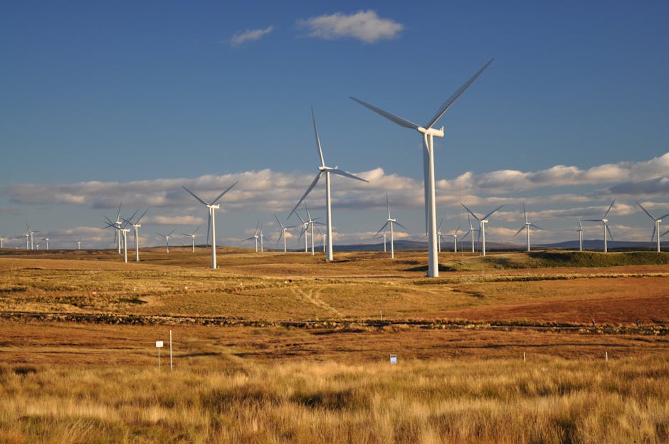 Why Scotland's Green Datacentres May Not Be So Green - VirentaNews