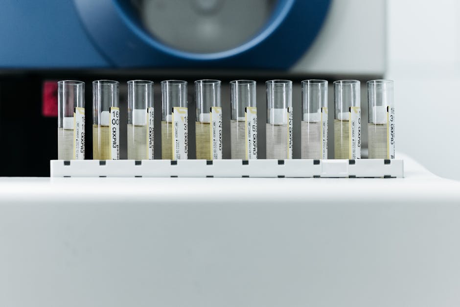 Why Some Proteins Behave Differently Despite Same Fold