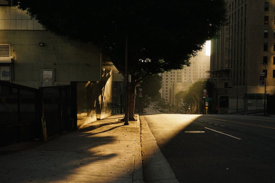 Why the US is Bracing for Heat
