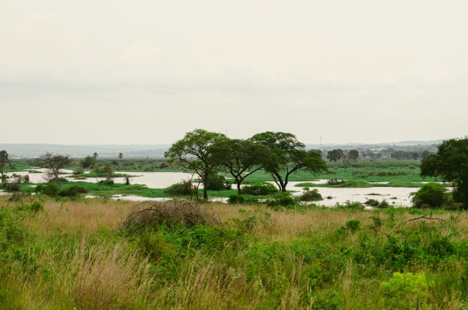 Why Uganda’s Wildlife Poses a Threat to Humans