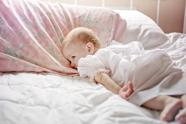Zebrafish Sleep Patterns Mirror Humans — Study Reveals Four Distinct Phases - VirentaNews