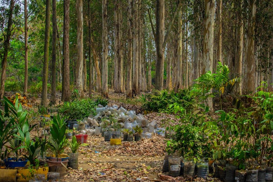 A disease of deforestation: how Ebola is linked to the smartphone in your pocket - VirentaNews