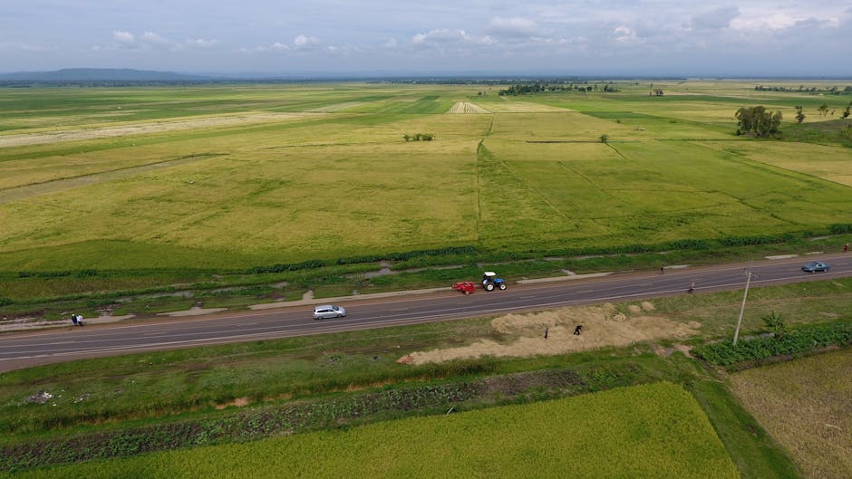 AI Farming Surges in Kenya Amid Job Shortage - VirentaNews