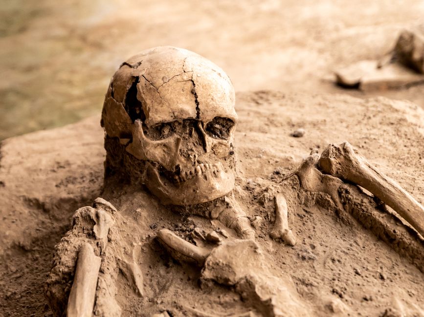 Ancient DNA Reveals Plague Was Already Killing Humans 5,500 Years Ago - VirentaNews