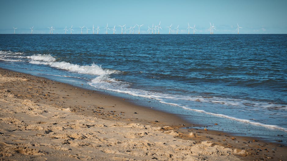 Beach Litter on the Rise: 8 Ways to Help