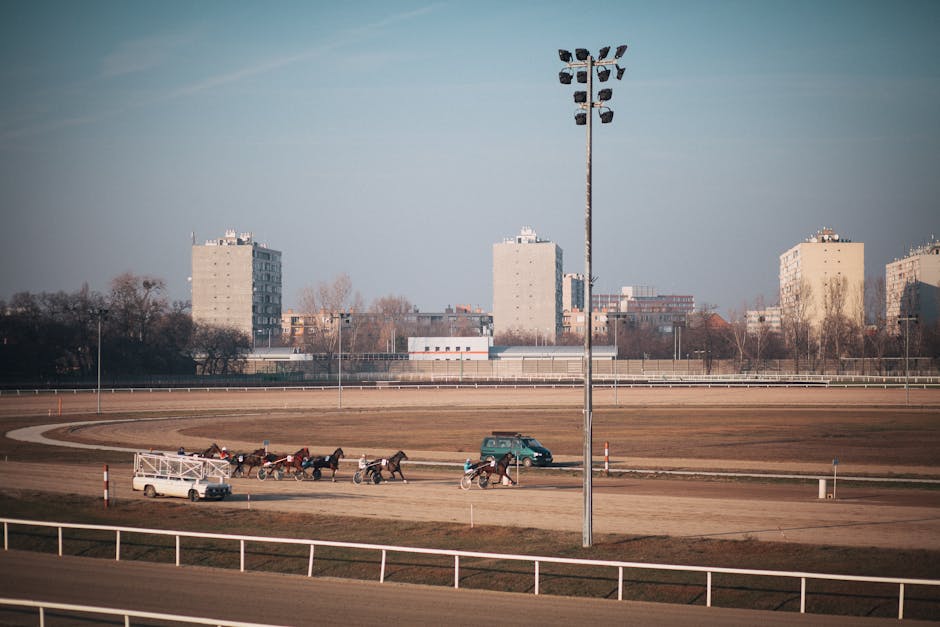 Belmont Stakes 2026: Expert Guide Reveals Top Bets and Odds