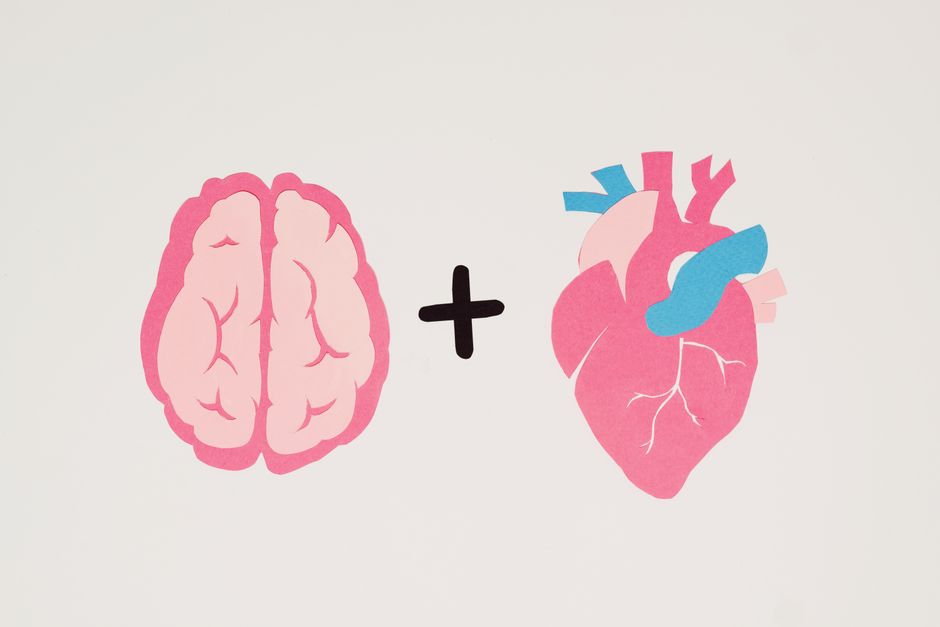 Brain Charts Updated with New Data