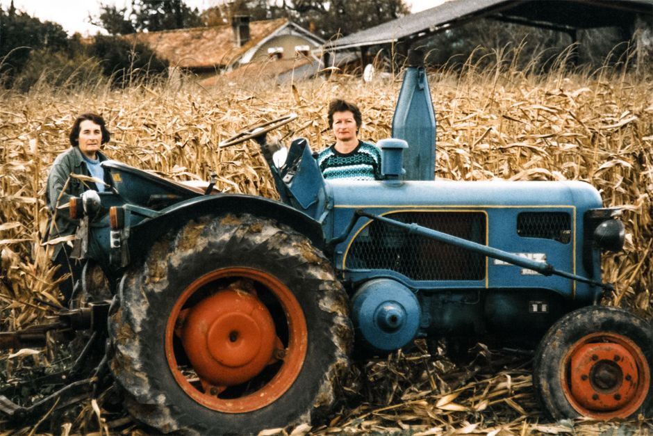 Breakthrough in Crop Yield Research Reveals 25 Percent Increase - VirentaNews