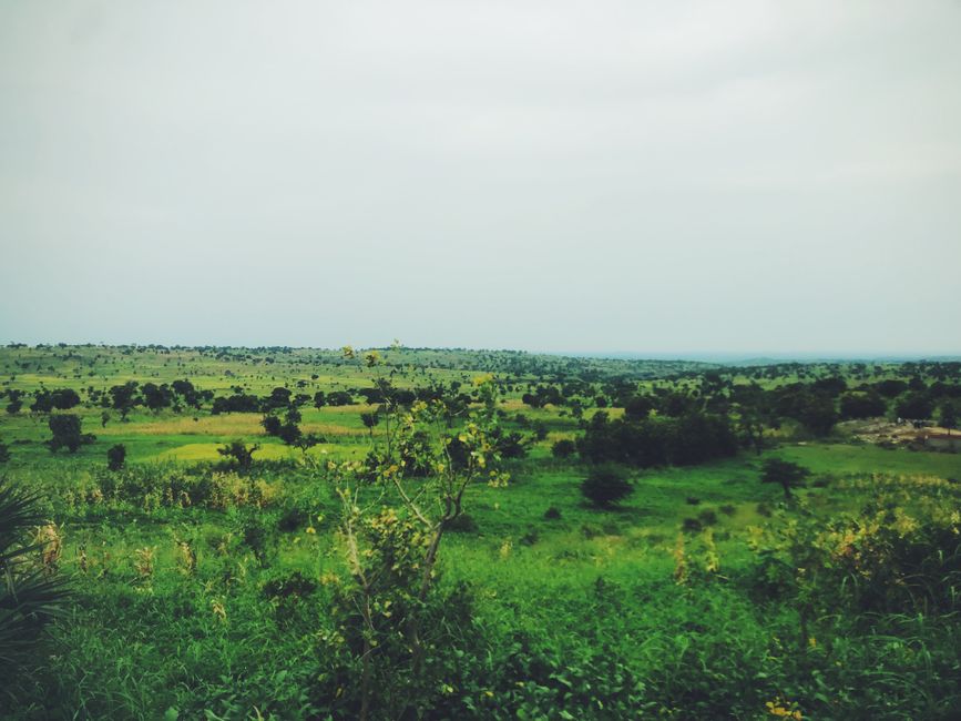 Deforestation Surges in sub-Saharan Africa