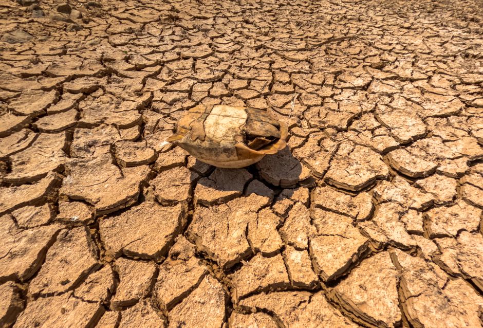 Europe Scorched: Deadly Heatwave Surges Across Continent - VirentaNews