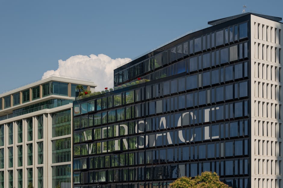 Everlane Co-Founder Shocked by Shein Acquisition, Seeks New Beginning