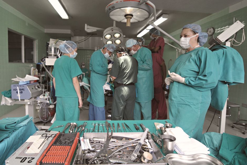 First Pig Liver and Kidneys Transplanted in Human — Milestone in Xenotransplantation