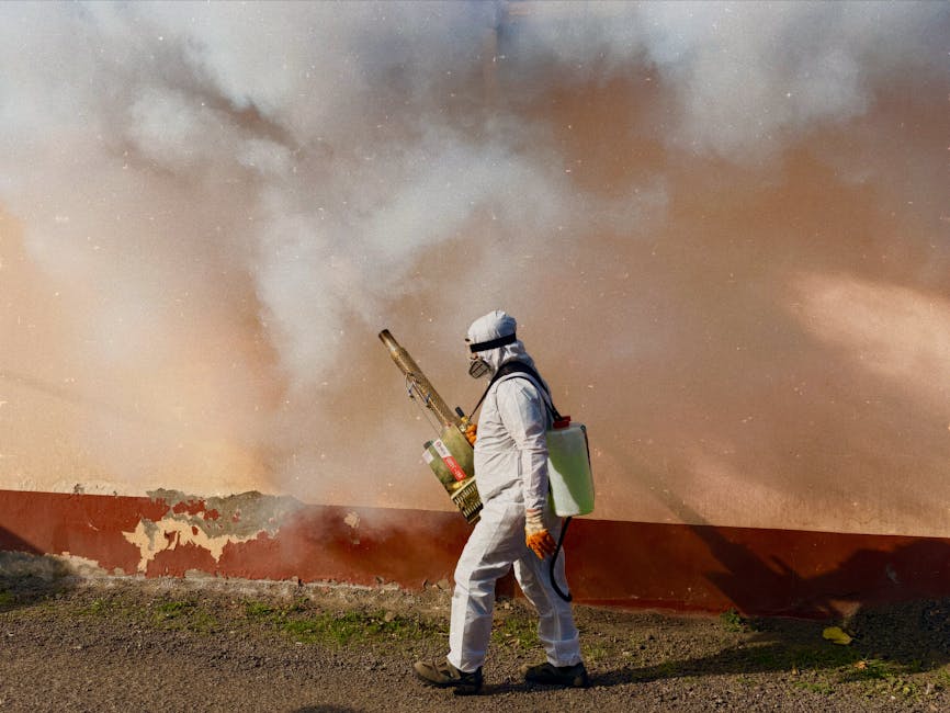Google Seeks Permission to Release 32 Million Sterile Mosquitoes in California and Florida - VirentaNews