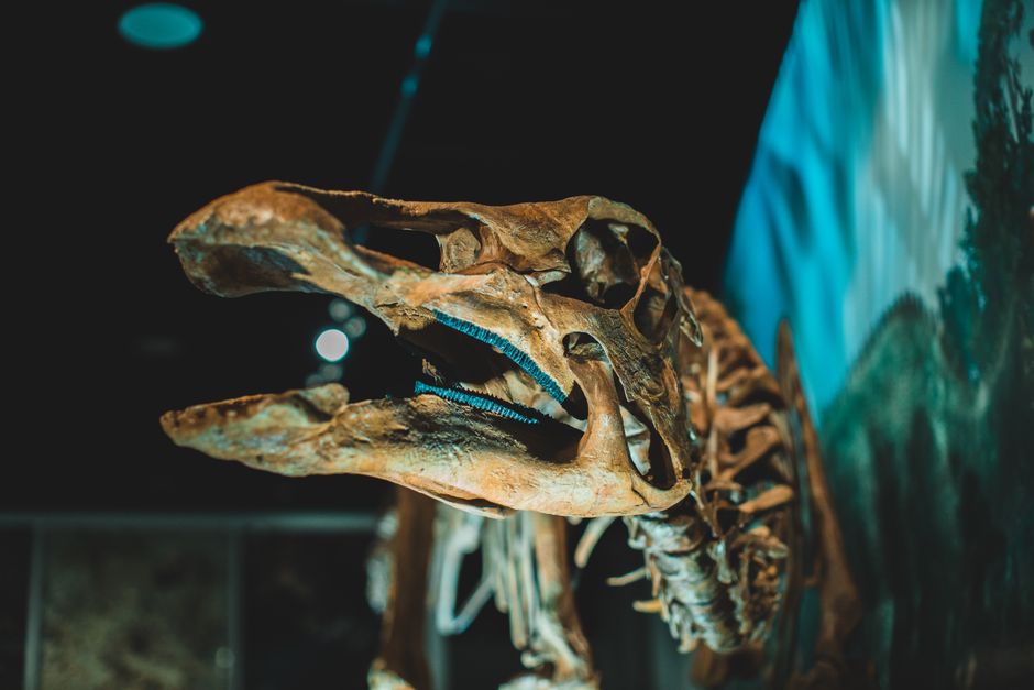 Headline with power word: Dinosaurs that survived surges - VirentaNews