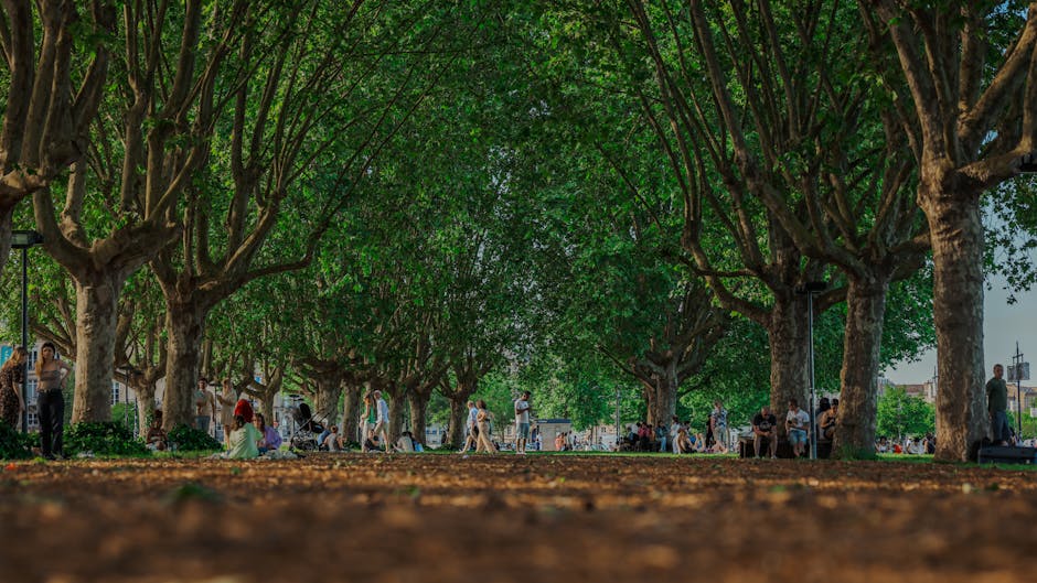Heat Wave Hits Pakistan with 125 Degrees - VirentaNews