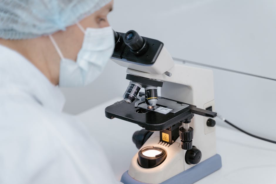 How LASER Helps Cells Repair Damaged Lysosomes - VirentaNews