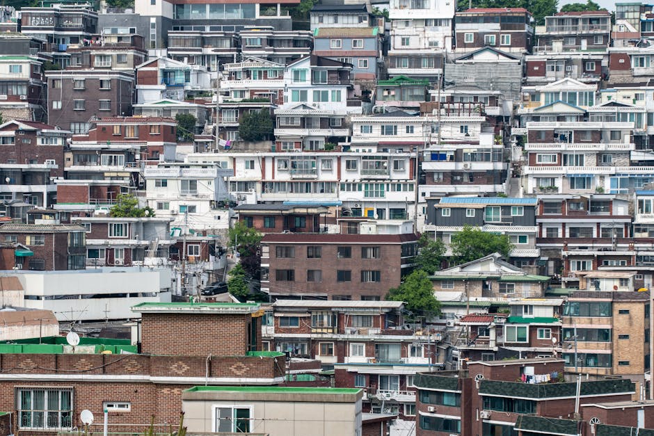 How North Korea’s Economy Surged