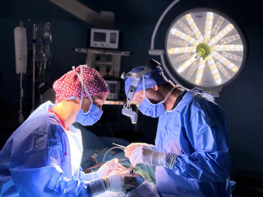How Scientists Are Rewiring the Brain to Combat Anxiety