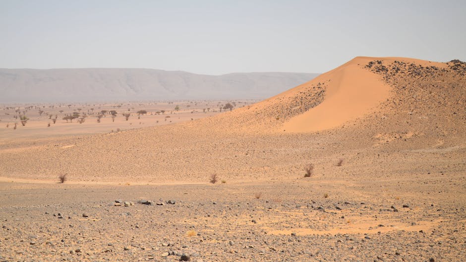 India's Hottest District Reveals Life on the Frontline of Extreme Heat - VirentaNews