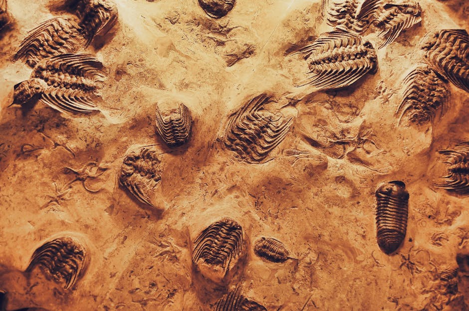 Kank australis Discovery Reveals Raptor's Unique Hunting Style - VirentaNews