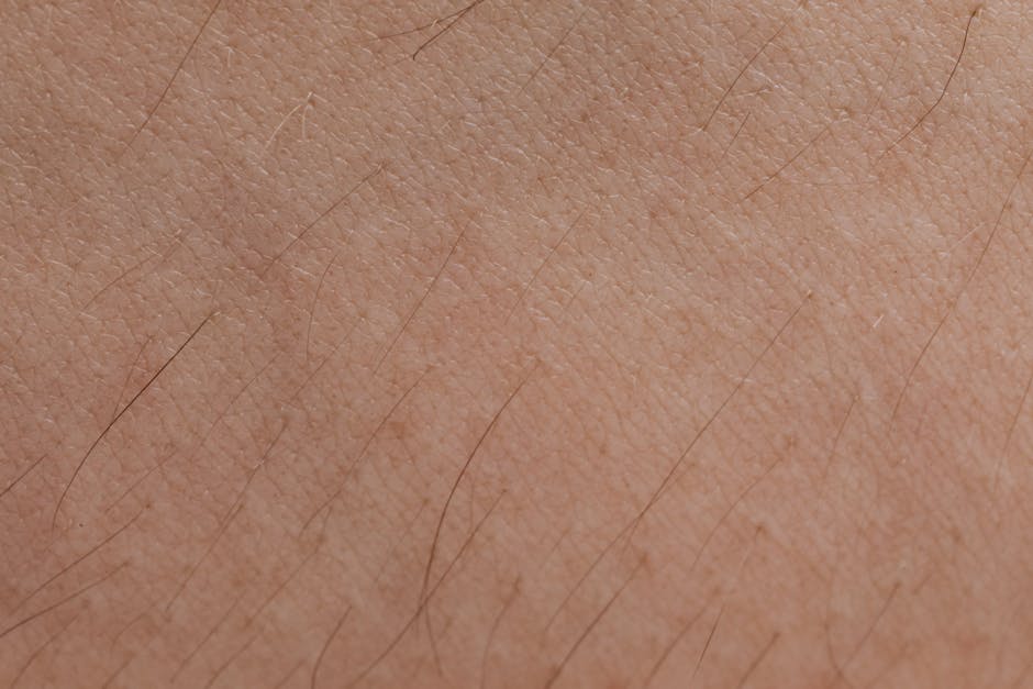 Macrophages in 'marathon mode' may drive skin granulomas, pointing to new therapies - VirentaNews
