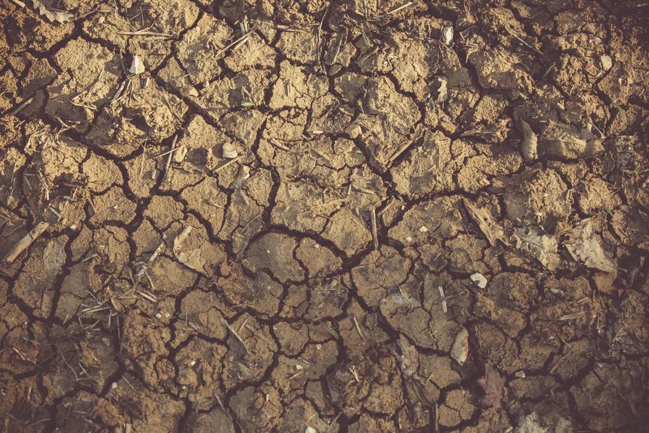 Majority of US's New AI Datacenters to be Built on Drought-Hit Land - VirentaNews