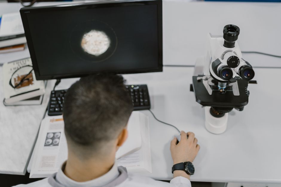Master Clock Reveals Secrets of Growth and Development - VirentaNews